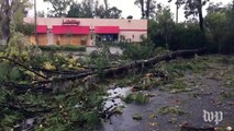 Hurricane Matthew knocks down trees, floods roads