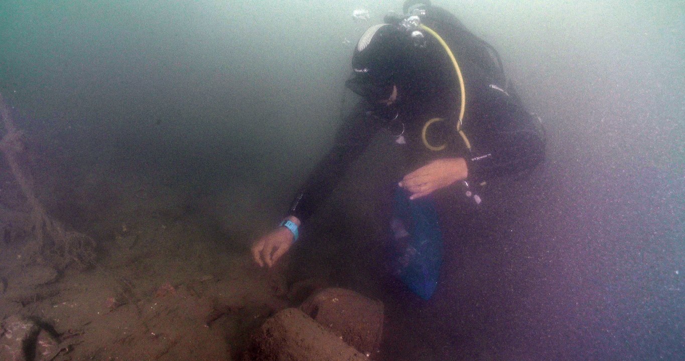 Marseille : le Vieux-Port nettoyé par des plongeurs bénévoles