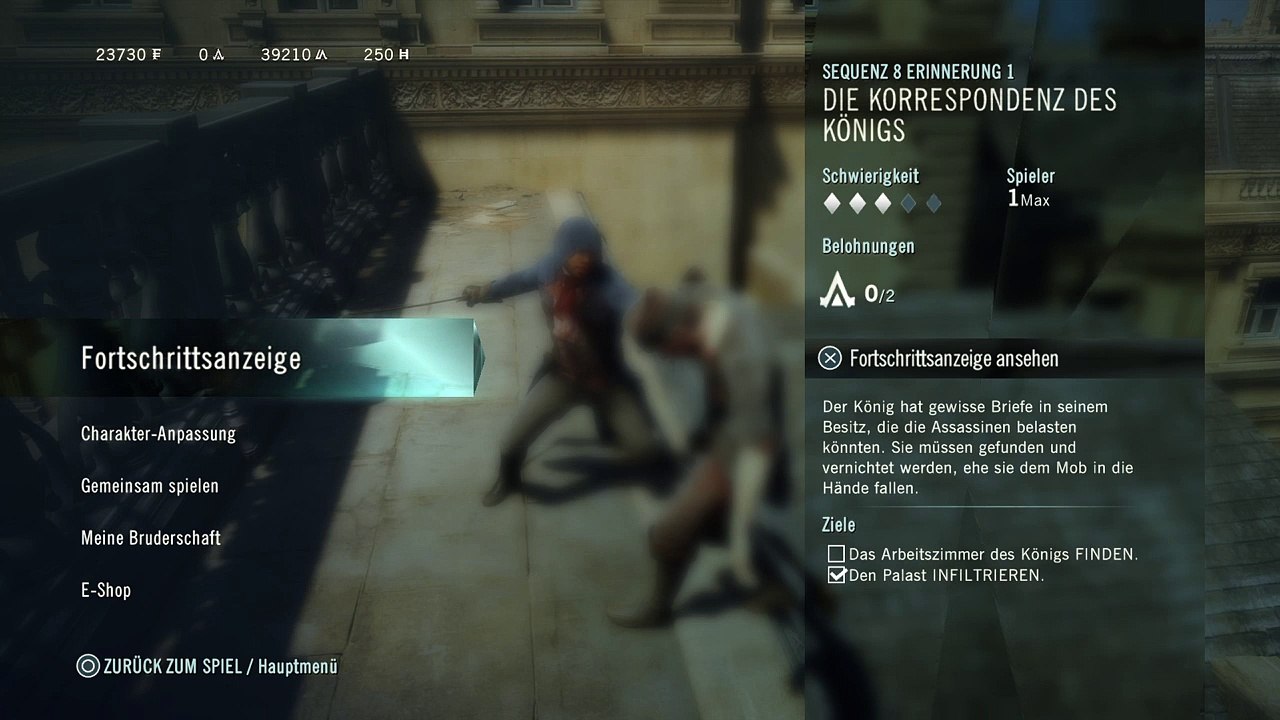 Assassins Creed Unity (59)