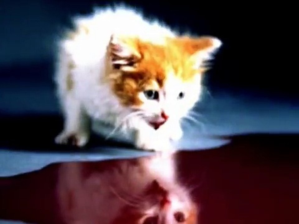 SLAYER - Bloodline