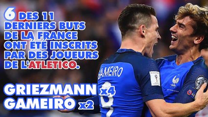 Bleus - Les GG en chiffres