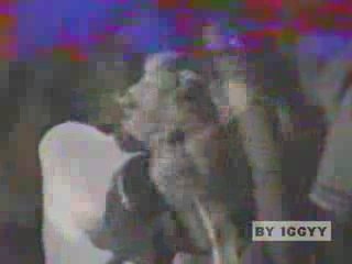 Sinan SAKIC- SUDBINA ME NA PUT SALJE