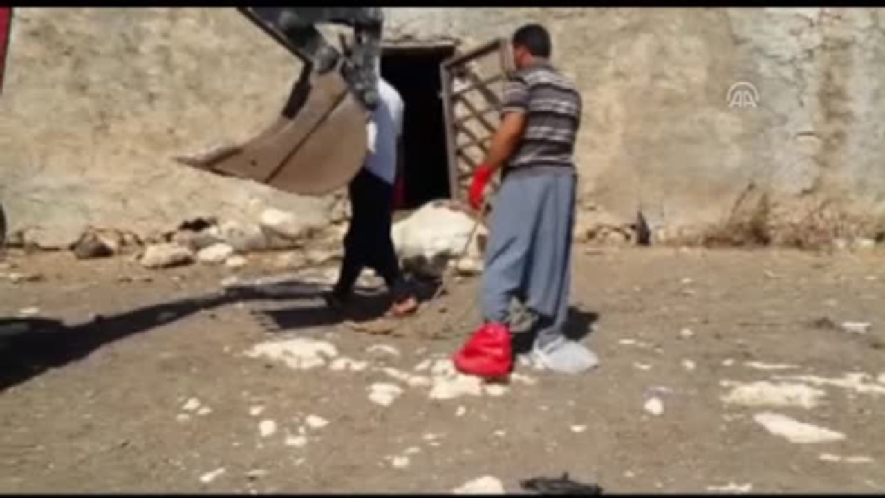 Siverek'te Kuduz Karantinası