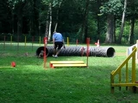 Bambou agility juillet 2007
