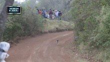 Lucky Dog!