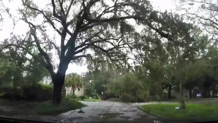 A drive through Savannah’s storm-battered streets