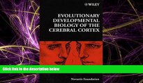Choose Book Evolutionary Developmental Biology of the Cerebral Cortex (Novartis Foundation Symposia)