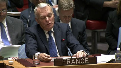 División en Consejo de Seguridad impide resolución para Siria