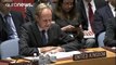 Rusya BMGK'ya sunulan Halep tasarısını veto etti