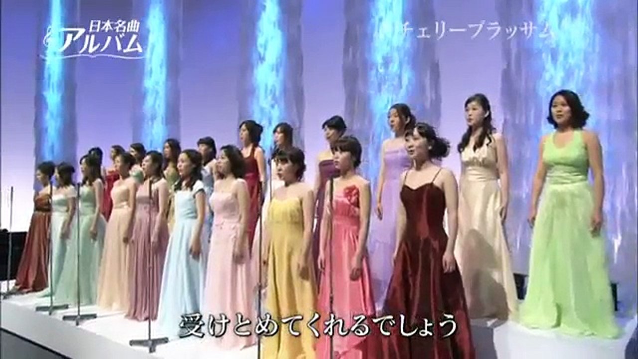 チェリーブラッサム