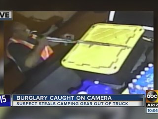 Police in Avondale searching for camping gear thief