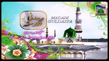 Huzoor صلی اللہ علیہ وسلم Ka Mojza - Mufti Farooq Attari - Madani Guldasta