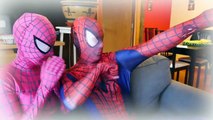 Spiderman vs Pink Spidergirl vs Giant Snake Nightmare in Real Life! Superhero ft Frozen Elsa Spider