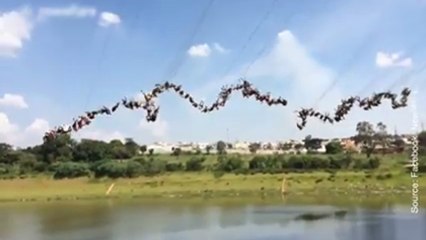 Saut à l'élastique en groupe !