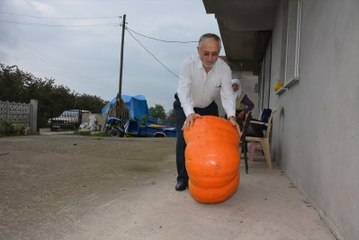 90 Kilogramlık Bal Kabağı Yetiştirdi