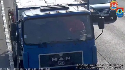 Ce chaton tombe sur l'autoroute et survit par miracle !