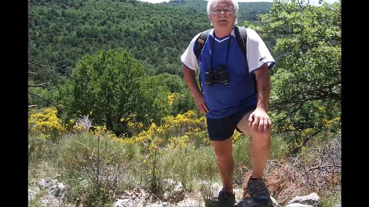 vacances en juin 2016 à Montfuron