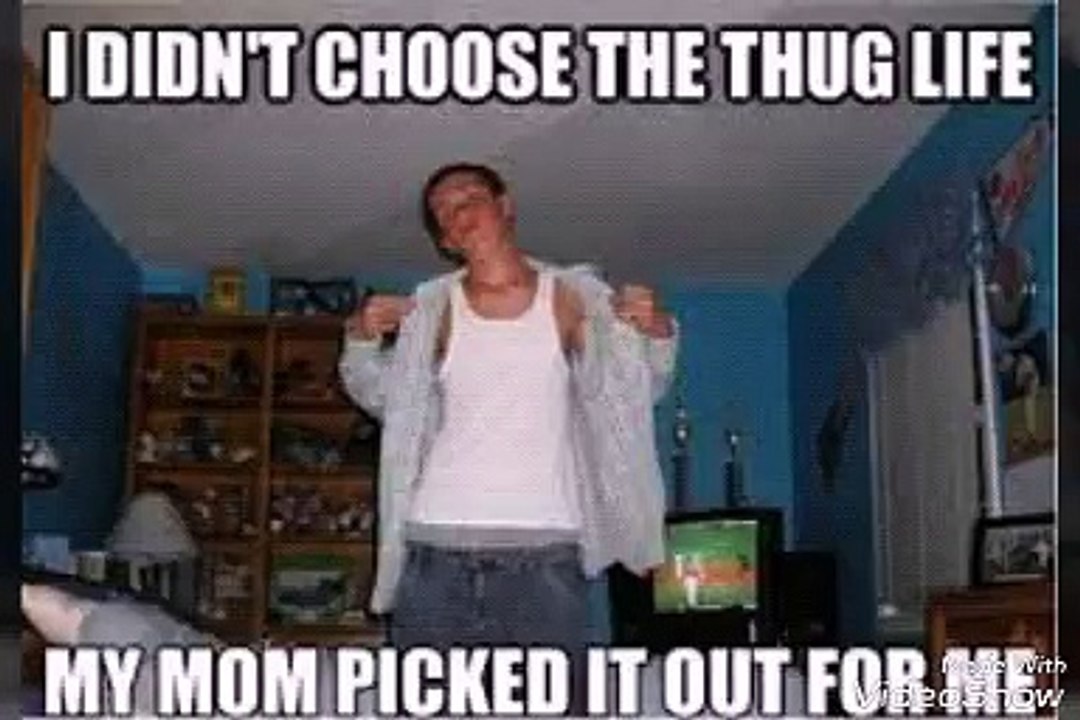 Funny Memes