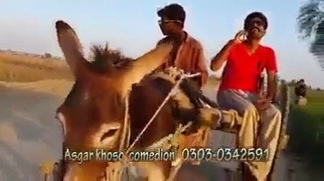 very funny pakistani video,try not to laugh challenge,zaid ali tahir video,comedy night eith kapil