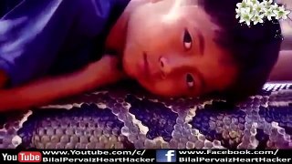 World most Shocking Video llah ki Qudrat Allah ka Mojza Miracle of Allah