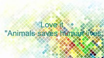 Wild Animals Saves and Helps that Human Lives - Animals Saved People's Lives | HEROES Animals