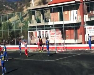 Αμβρυσσέας Διστόμου-Αναγέννηση Σχηματαρίου 5-1