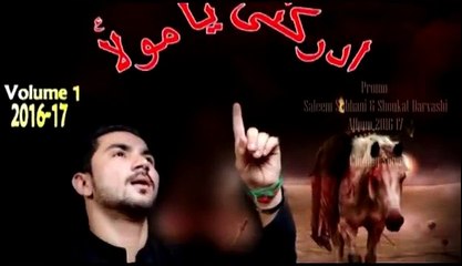 Saleem Subhani Promo - Nohay 2016-17  (HD)