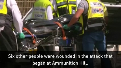 Two killed by Palestinian gunman in Israel