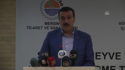 Bakan Tüfenkci - Yaş Sebze ve Meyve Çalıştayı