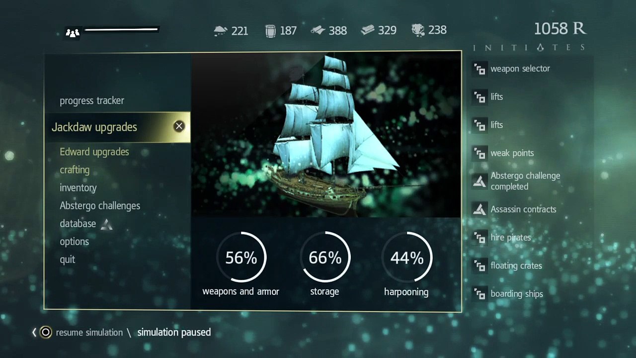 Black flag (11)