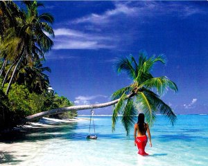 Frank Michael - Celle Que j'aime