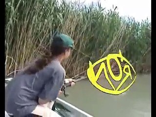 Il più grande pesce del mondo-The biggest fish of the world