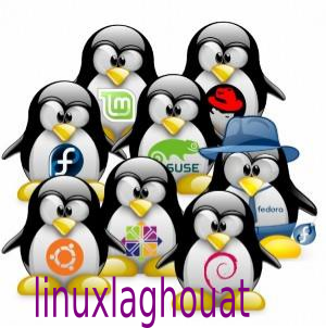 توزيعة فيدورا لينكس Fedora Linux distro fedora lin