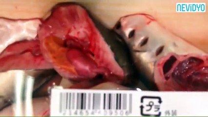 Balık reyonunda şoke eden görüntü!