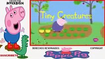 ᴴᴰ Peppa Pig ♫ Capitulos Completos En Español latino new ✔ Peppa pig Español Nuevos Episod