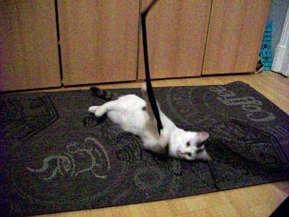 Vinzent am 03.10.2016