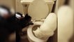 Quand des chat découvrent les toilettes... Vas-y tire la chasse!!!!