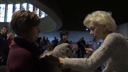 Kedi Güzellik Yarışması