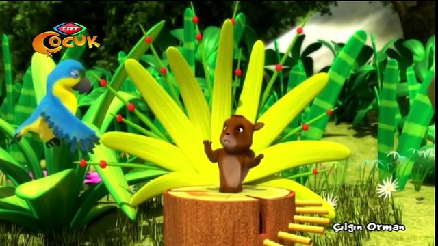 Çılgın Orman (Yeni Bölüm)Müzik Kutusu - Kuşlar Takımı