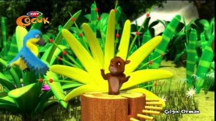 Çılgın Orman (Yeni Bölüm)Müzik Kutusu - Kuşlar Takımı