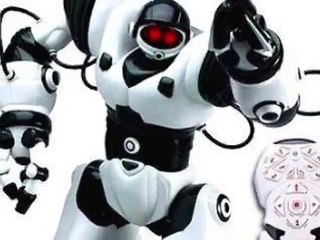 Roboactor - Robosapien Remote Control Toy Robot