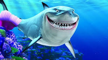 This is crazy!! Man Helps Dead Shark Give Birth To 3 Babies