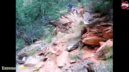 Close Calls Compilation 2