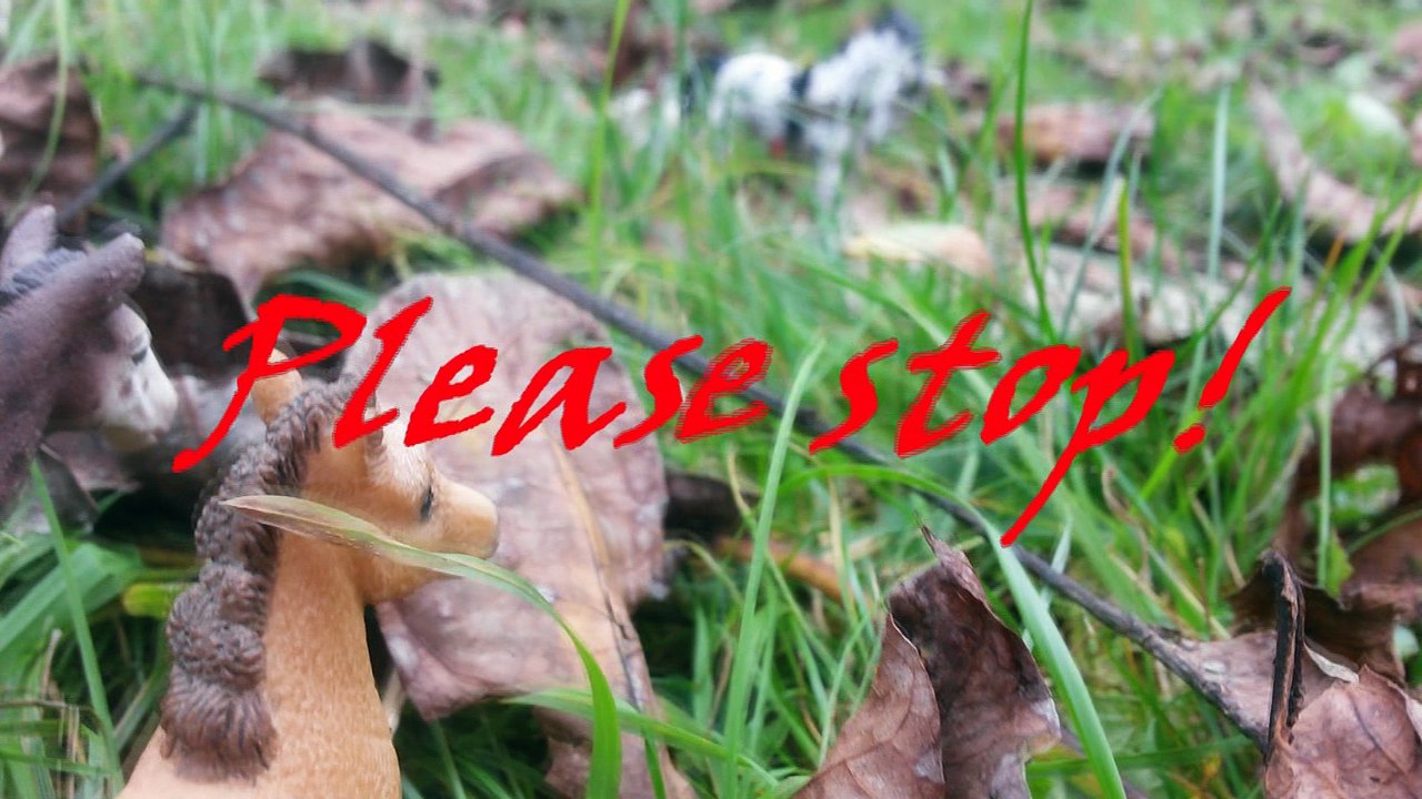 Schleich Musikvideo || Control