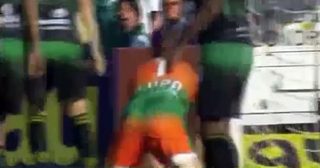 America Minas Gerais 0-2 SE Palmeiras - Todos Los Goles - All Goals Exclusive (09/10/2016)