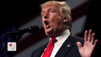 Arianne Zucker Issues Statement Following Trump Video