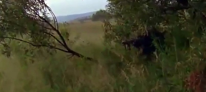 New Hollywood movies || Best Gunfight Movies - Sniper Legen -Hot Contest movies - New Tussle Movies