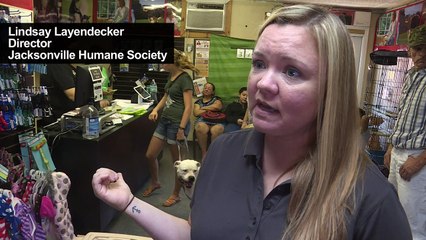 USA: Après l’ouragan, chiens et chats trouvent un nouveau foyer