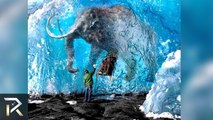 What Really Happened To Mammoths! (30 Facts You Won't Believe!)