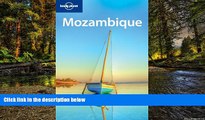 Big Deals  Lonely Planet Mozambique (Country Travel Guide)  Best Seller Books Most Wanted